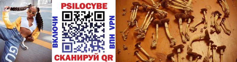 Купить где  Змеиногорск  Псилоцибиновые грибы MAGIC MUSHROOMS 
